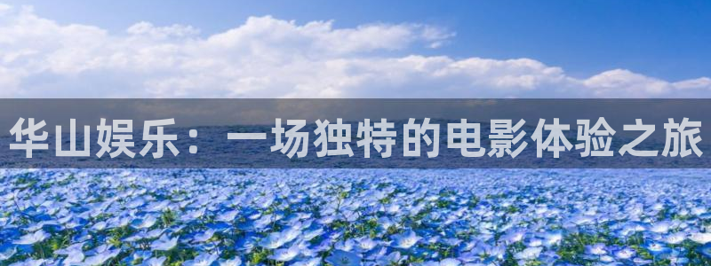 壹号注册入口app下载