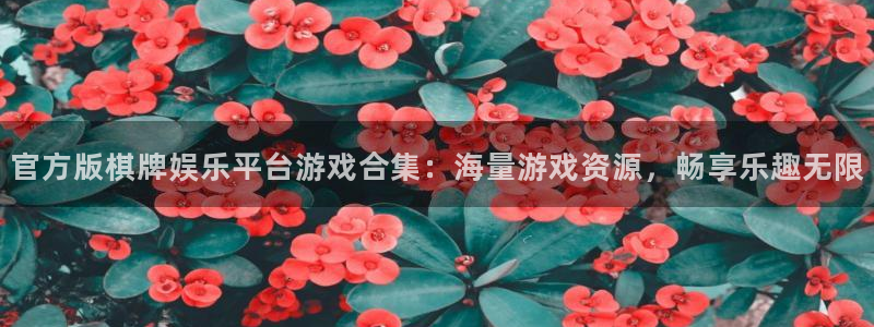 恒盛娱乐app最新版