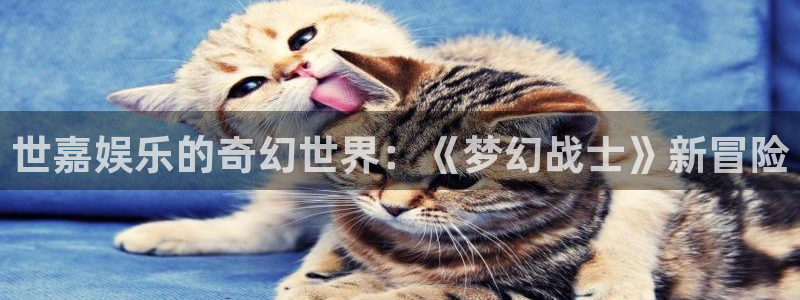 恒盛娱乐平台最新版本下载