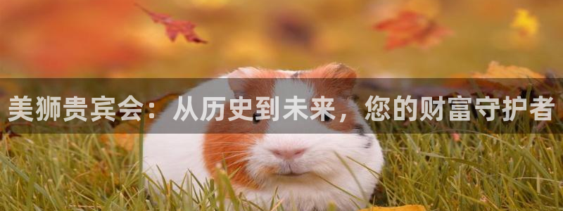 恒盛娱乐平台管网入口
