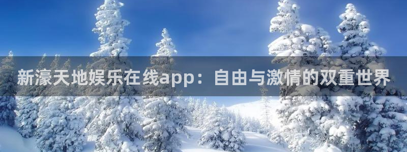 恒盛娱乐平台登录