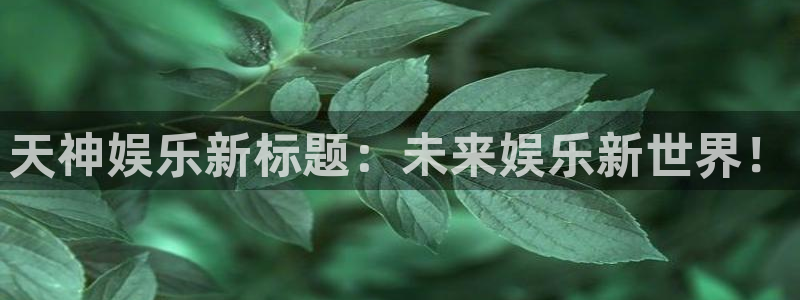 恒盛娱乐官网版下载链接