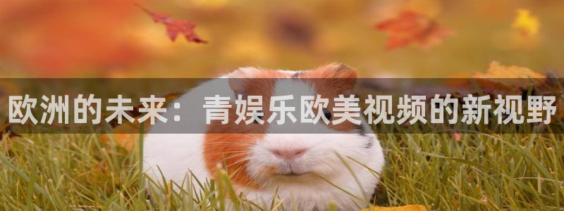 壹号下载官网入口
