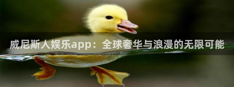 恒盛娱乐quan28.cc