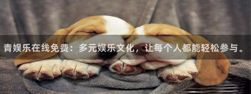 壹号平台app下载安装