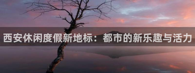 壹号玩家app下载