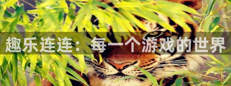 恒盛娱乐com