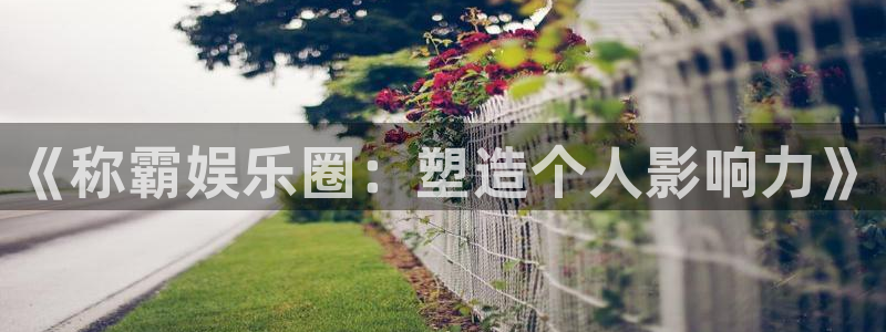 恒盛娱乐是啥：《称霸娱乐圈：塑造个人影响力》