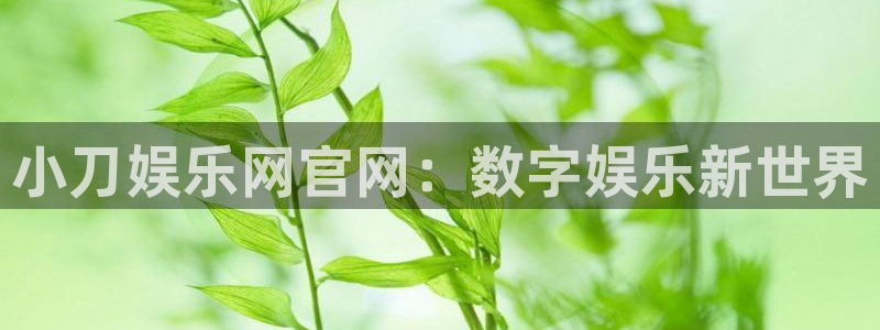 恒盛娱乐com：小刀娱乐网官网：数字娱乐新世界