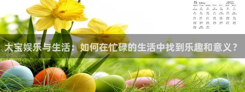 恒盛娱乐手机客户端下载安装：大宝娱乐与生活：如何在忙碌的生活中找到乐趣和意义？