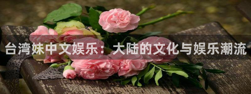 壹号注册入口app下载：台湾妹中文娱乐：大陆的文化与娱乐潮流