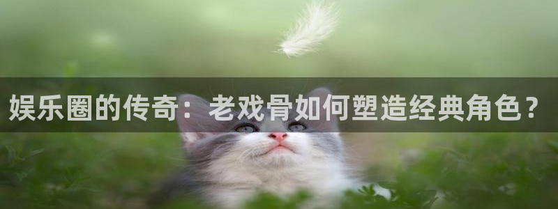 壹号app下载官方网站：娱乐圈的传奇：老戏骨如何塑造经典角色？