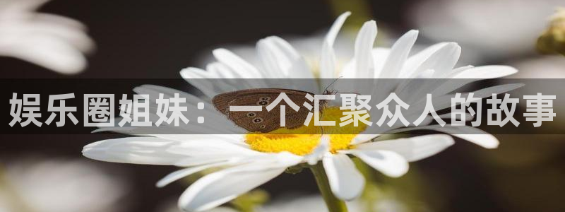 恒盛娱乐 - ng大舞台,有梦你就来：娱乐圈姐妹：一个汇聚众人的故事