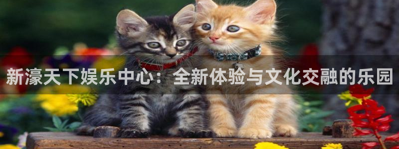 恒盛娱乐,apk：新濠天下娱乐中心：全新体验与文化交融的乐园