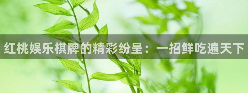 恒盛娱乐链接：红桃娱乐棋牌的精彩纷呈：一招鲜吃遍天下