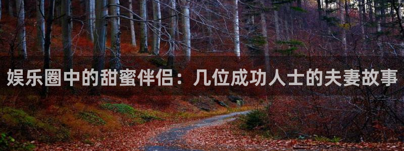 恒盛娱乐的平台：娱乐圈中的甜蜜伴侣：几位成功人士的夫妻故事