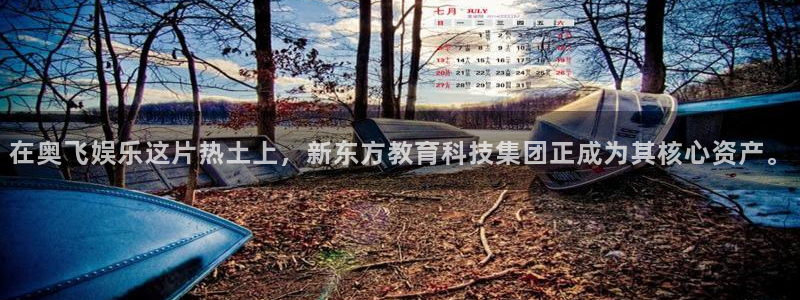 恒盛娱乐官网：在奥飞娱乐这片热土上，新东方教育科技集团正成为其核心资产。