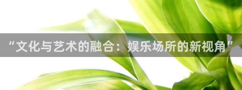 恒盛娱乐平台管网入口：“文化与艺术的融合：娱乐场所的新视角”
