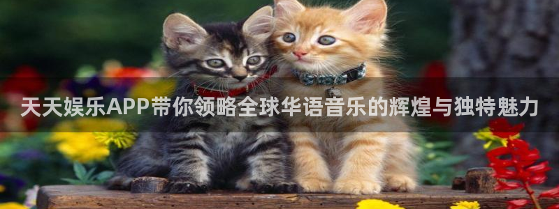 恒盛娱乐下载二维码：天天娱乐APP带你领略全球华语音乐的辉煌与独特魅力