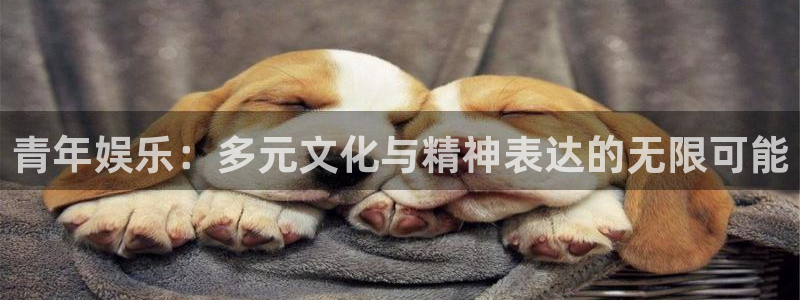 壹号平台注册链接官网下载：青年娱乐：多元文化与精神表达的无限可能