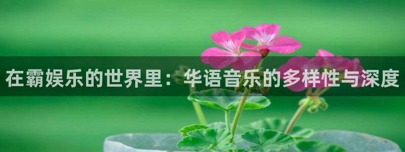 恒盛娱乐app入口：在霸娱乐的世界里：华语音乐的多样性与深度